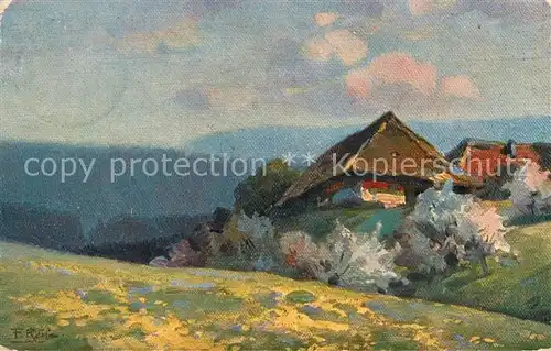 AK / Ansichtskarte Reiss_Fritz Fruehling im Schwarzwald  Reiss Fritz