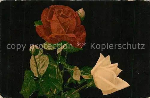 AK / Ansichtskarte Rosen Feldpoststempel  Rosen