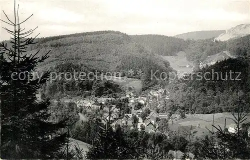 AK / Ansichtskarte Bad_Grund  Bad_Grund