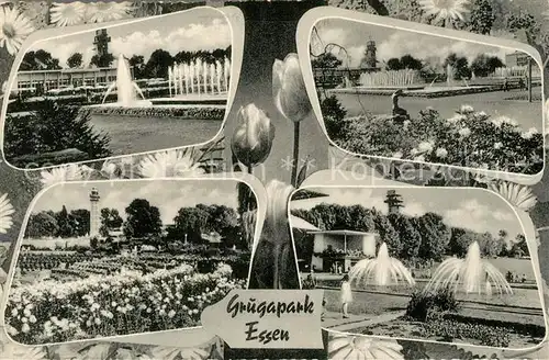 AK / Ansichtskarte Essen_Ruhr Grugapark Essen_Ruhr