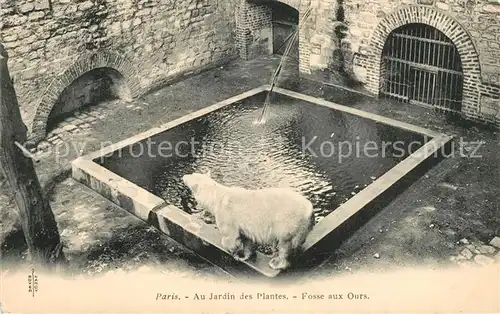 AK / Ansichtskarte Eisbaer Paris Jardin des Plantes Fosse aux Ours  Eisbaer