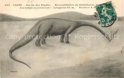 AK / Ansichtskarte Dinosaurier Diplodocus Paris Jardin des Plantes  Dinosaurier