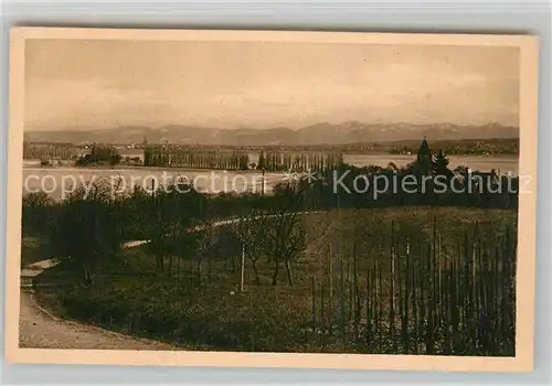AK / Ansichtskarte Oberzell_Reichenau Blick auf Pappelallee nach Konstanz Schweizer Ufer und die Alpen Oberzell Reichenau