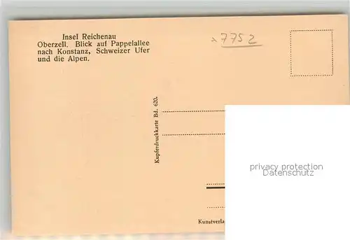 AK / Ansichtskarte Oberzell_Reichenau Blick auf Pappelallee nach Konstanz Schweizer Ufer und die Alpen Oberzell Reichenau