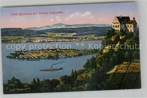 AK / Ansichtskarte Salenstein_TG Schloss mit Blick zur Insel Reichenau Salenstein_TG