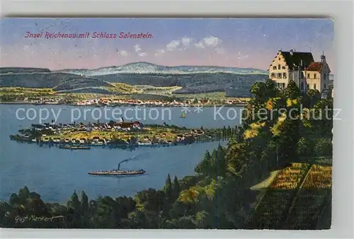 AK / Ansichtskarte Salenstein_TG Schloss Insel Reichenau Bodensee Kuenstlerkarte Salenstein_TG