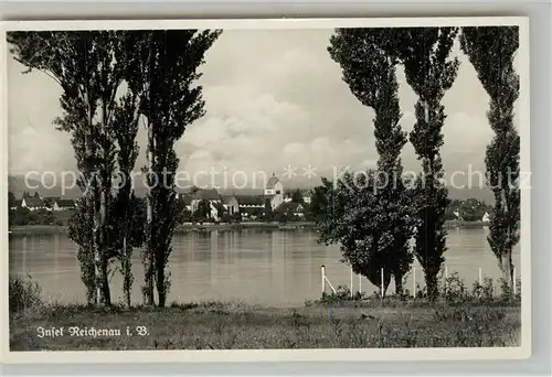 AK / Ansichtskarte Insel_Reichenau Uferpartie am See Pappeln Insel Reichenau