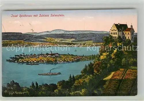 AK / Ansichtskarte Salenstein_TG Schloss Insel Reichenau Kuenstlerkarte Salenstein_TG