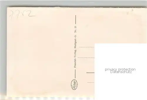 AK / Ansichtskarte Insel_Reichenau Uferpartie am See Pappeln Insel Reichenau