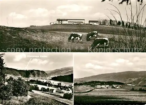 AK / Ansichtskarte Niederndorf_Arnbruck Aussiedlerhof und Gaestehaus Adolf Kerber Kuehe Niederndorf Arnbruck