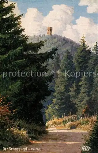 AK / Ansichtskarte Verlag_WIRO_Wiedemann_Nr. 3139 Schneekopf  Verlag_WIRO_Wiedemann_Nr.