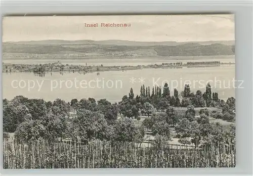 AK / Ansichtskarte Insel_Reichenau Panorama Insel Reichenau