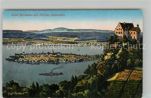 AK / Ansichtskarte Salenstein_TG Schloss Insel Reichenau Kuenstlerkarte Salenstein_TG