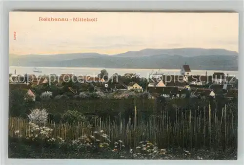 AK / Ansichtskarte Mittelzell Panorama Mittelzell