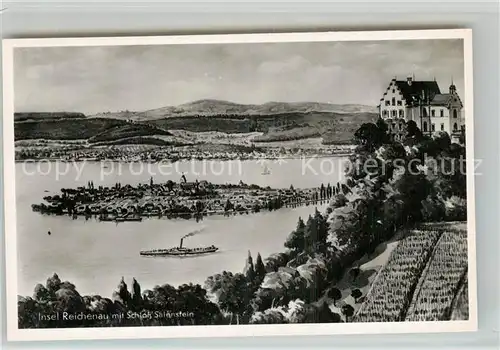 AK / Ansichtskarte Salenstein_TG Schloss Insel Reichenau Bromsilber Kuenstlerkarte Salenstein_TG