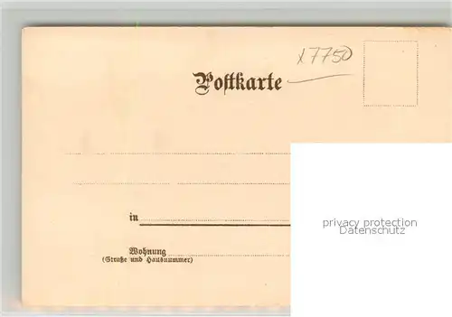 AK / Ansichtskarte Insel_Mainau Schloss Dampfer Kuenstlerkarte Insel Mainau