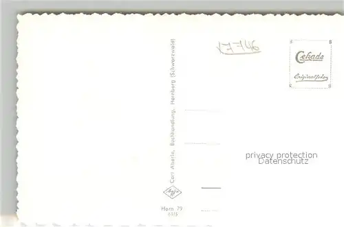 AK / Ansichtskarte Hornberg_Schwarzwald Jugendherberge Hornberg Schwarzwald