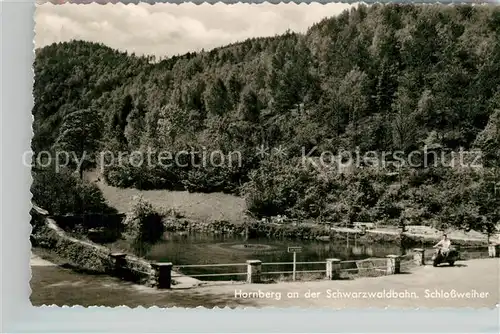 AK / Ansichtskarte Hornberg_Schwarzwald Schlossweiher Hornberg Schwarzwald