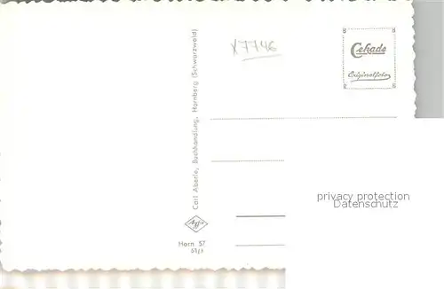 AK / Ansichtskarte Hornberg_Schwarzwald Schlossweiher Hornberg Schwarzwald