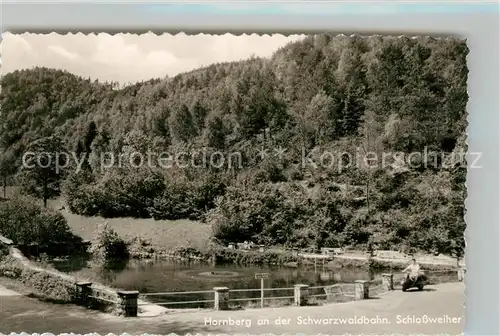 AK / Ansichtskarte Hornberg_Schwarzwald Schlossweiher Hornberg Schwarzwald