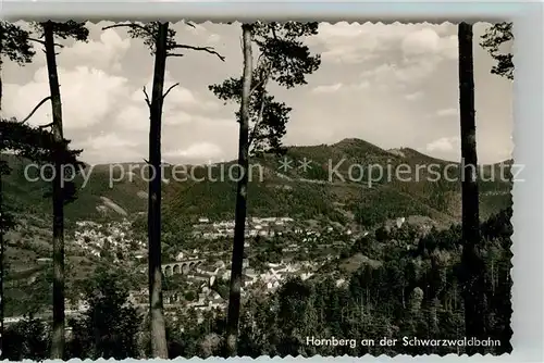 AK / Ansichtskarte Hornberg_Schwarzwald Panorama Hornberg Schwarzwald