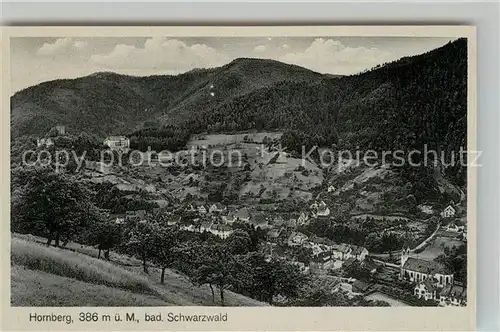 AK / Ansichtskarte Hornberg_Schwarzwald Panorama Fliegeraufnahme Hornberg Schwarzwald