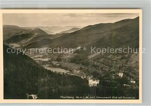 AK / Ansichtskarte Hornberg_Schwarzwald Panorama Hornberg Schwarzwald