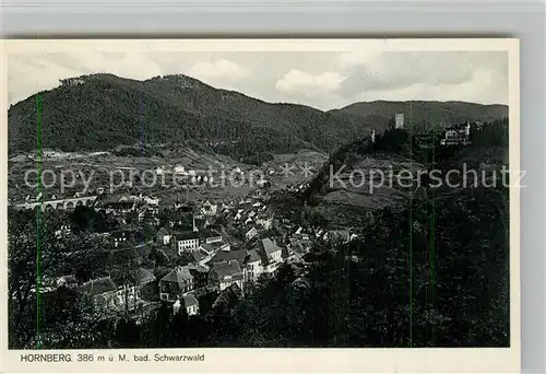 AK / Ansichtskarte Hornberg_Schwarzwald Panorama Hornberg Schwarzwald