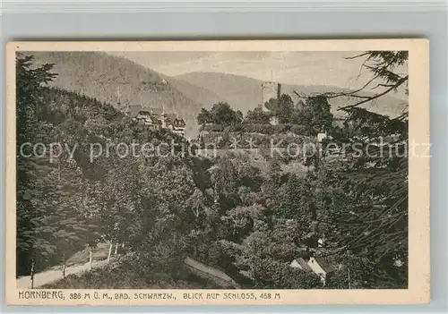 AK / Ansichtskarte Hornberg_Schwarzwald Panorama Schloss Hornberg Schwarzwald