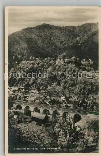 AK / Ansichtskarte Hornberg_Schwarzwald Viadukt Schlossberg Hornberg Schwarzwald