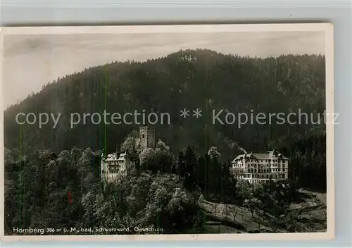 AK / Ansichtskarte Hornberg_Schwarzwald Schlossberg Hornberg Schwarzwald