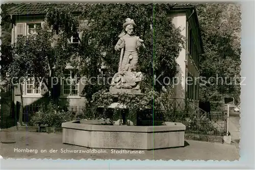 AK / Ansichtskarte Hornberg_Schwarzwald Stadtbrunnen Hornberg Schwarzwald