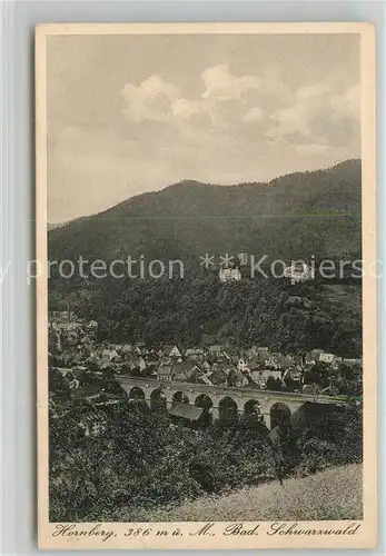 AK / Ansichtskarte Hornberg_Schwarzwald Panorama Schlossberg Viadukt Hornberg Schwarzwald