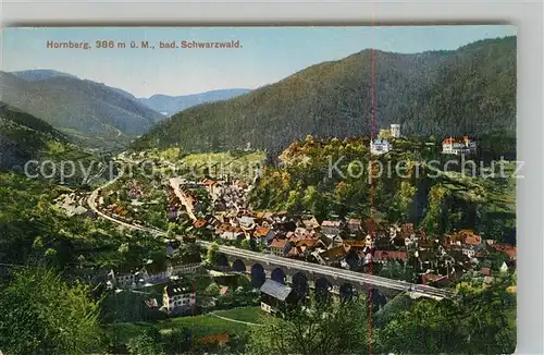 AK / Ansichtskarte Hornberg_Schwarzwald Panorama Hornberg Schwarzwald
