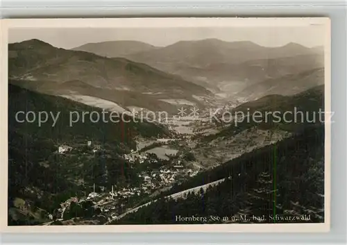 AK / Ansichtskarte Hornberg_Schwarzwald Panorama Hornberg Schwarzwald