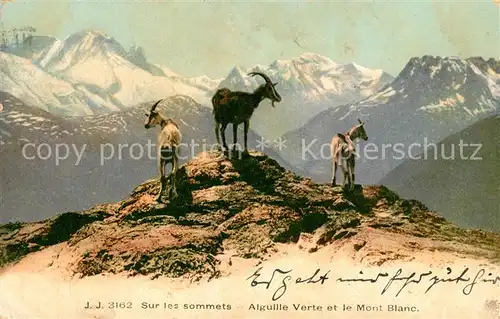 AK / Ansichtskarte Aiguille_du_Dru Sur les sommets Verte et le Mont Blanc Aiguille_du_Dru