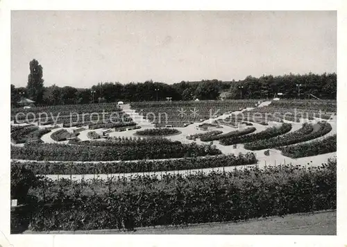 AK / Ansichtskarte Essen_Ruhr Dalien Arena Essen_Ruhr