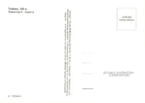 AK / Ansichtskarte Trieben Fliegeraufnahme Trieben