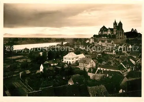 AK / Ansichtskarte Breisach_Rhein Stadtpanorama mit Muenster Breisach Rhein