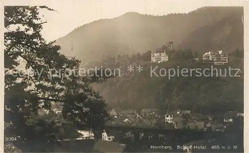 AK / Ansichtskarte Hornberg_Schwarzwald Schloss Hotel Hornberg Schwarzwald