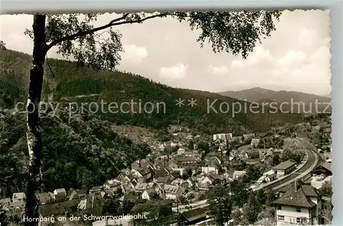AK / Ansichtskarte Hornberg_Schwarzwald Panorama Hornberg Schwarzwald