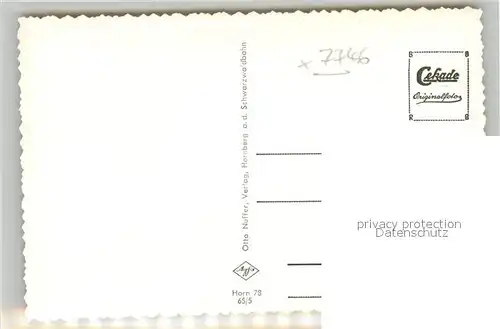 AK / Ansichtskarte Hornberg_Schwarzwald Panorama Hornberg Schwarzwald