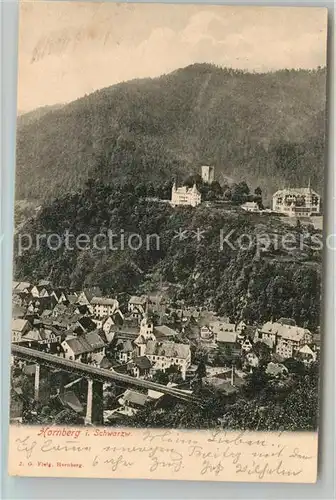 AK / Ansichtskarte Hornberg_Schwarzwald Panorama Schlossberg Hornberg Schwarzwald
