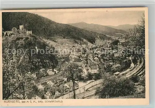 AK / Ansichtskarte Hornberg_Schwarzwald Panorama Hornberg Schwarzwald