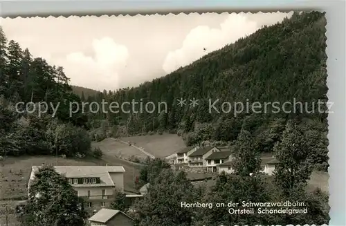 AK / Ansichtskarte Hornberg_Schwarzwald Ortsteil Schondelgrund Hornberg Schwarzwald