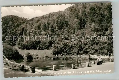 AK / Ansichtskarte Hornberg_Schwarzwald Schlossweiher Hornberg Schwarzwald