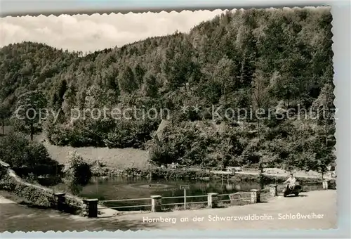 AK / Ansichtskarte Hornberg_Schwarzwald Schlossweiher Hornberg Schwarzwald