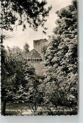 AK / Ansichtskarte Hornberg_Schwarzwald Schloss Hornberg Schwarzwald