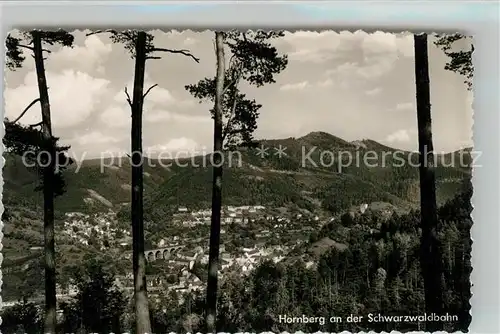 AK / Ansichtskarte Hornberg_Schwarzwald Panorama Hornberg Schwarzwald