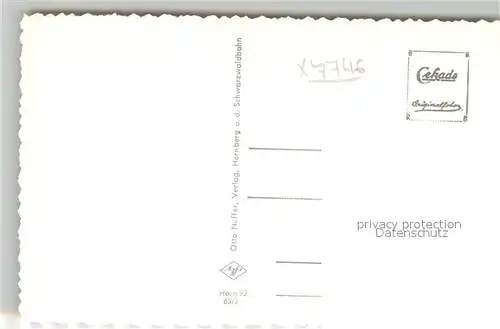 AK / Ansichtskarte Hornberg_Schwarzwald Stadtbrunnen Viadukt Freibad Hauptstra&#223;e Schwarzwaldhaus Hornberg Schwarzwald